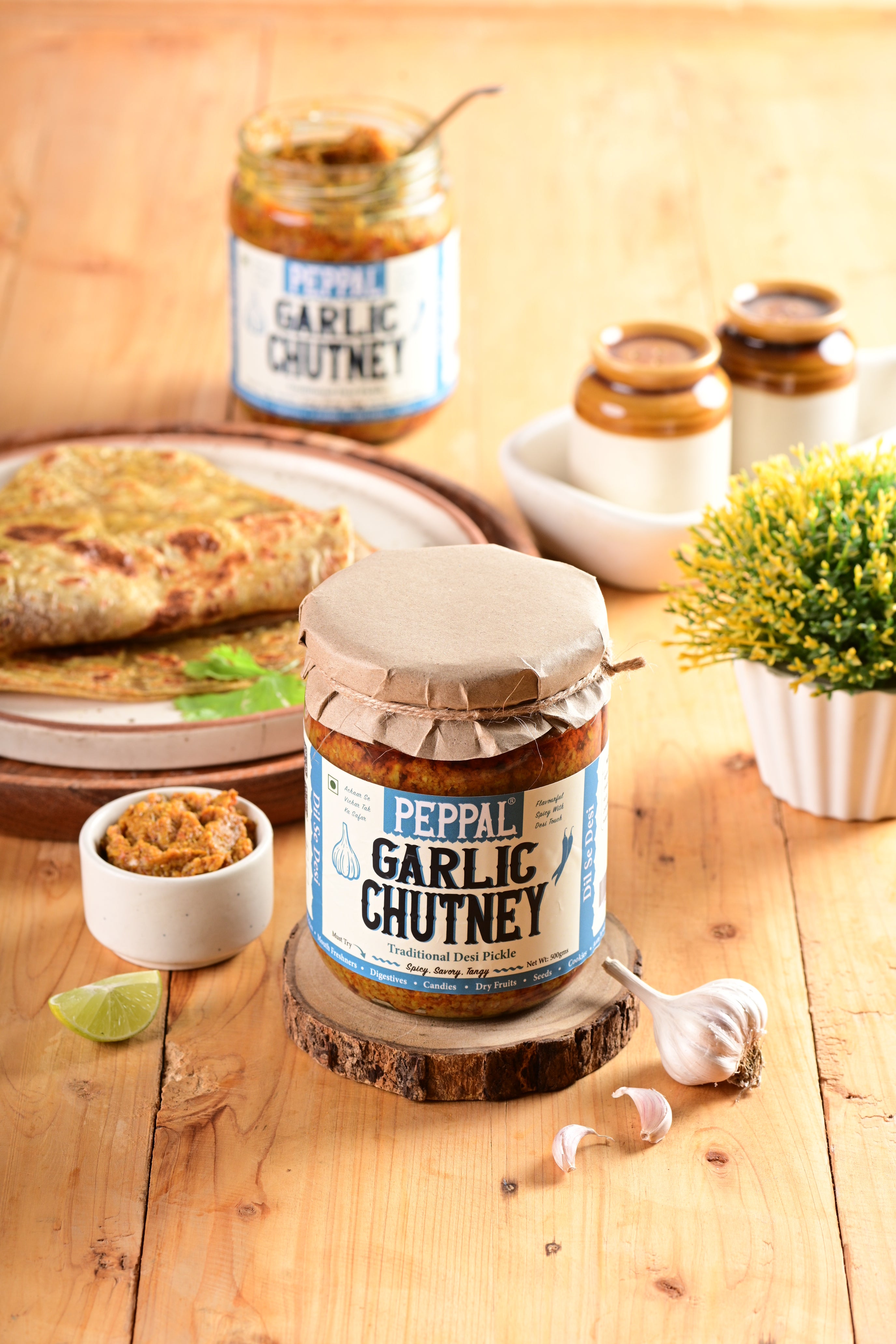 Garlic Chutney